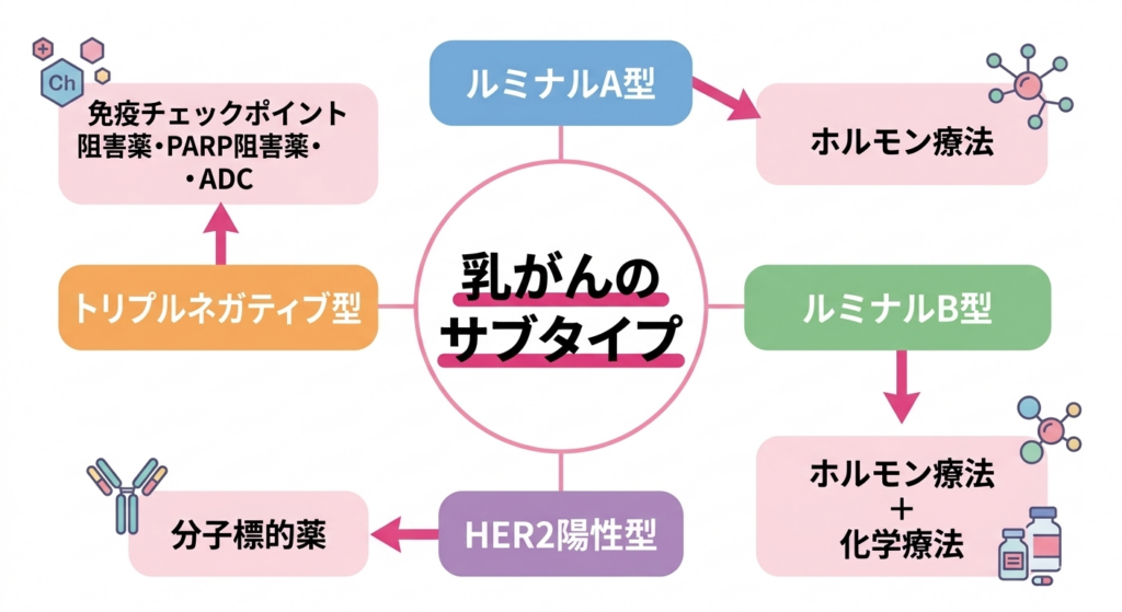 抗体薬物複合体（ADC）など最新の乳がん治療薬のイメージ