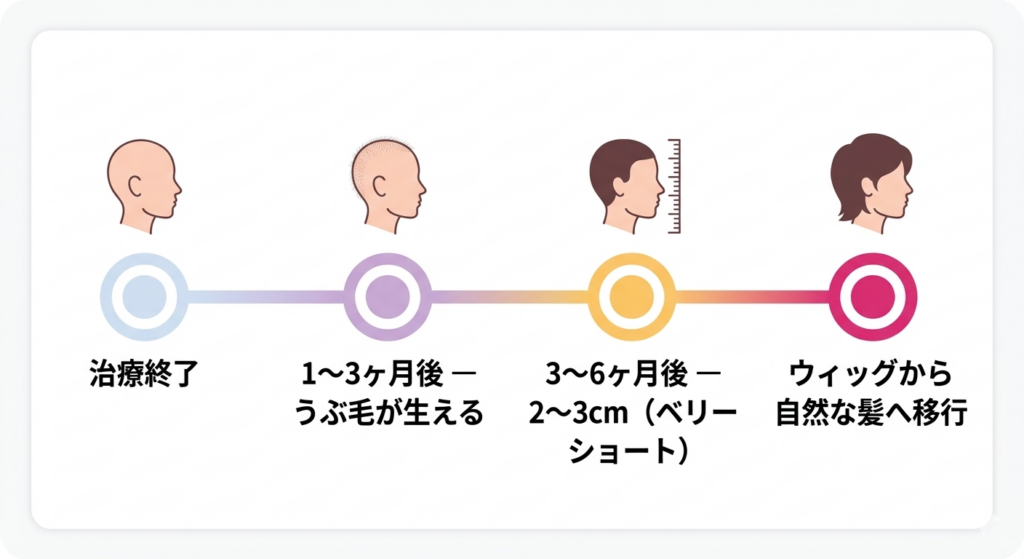 化学療法後の発毛プロセス — 髪が再び生えてくるまでの経過